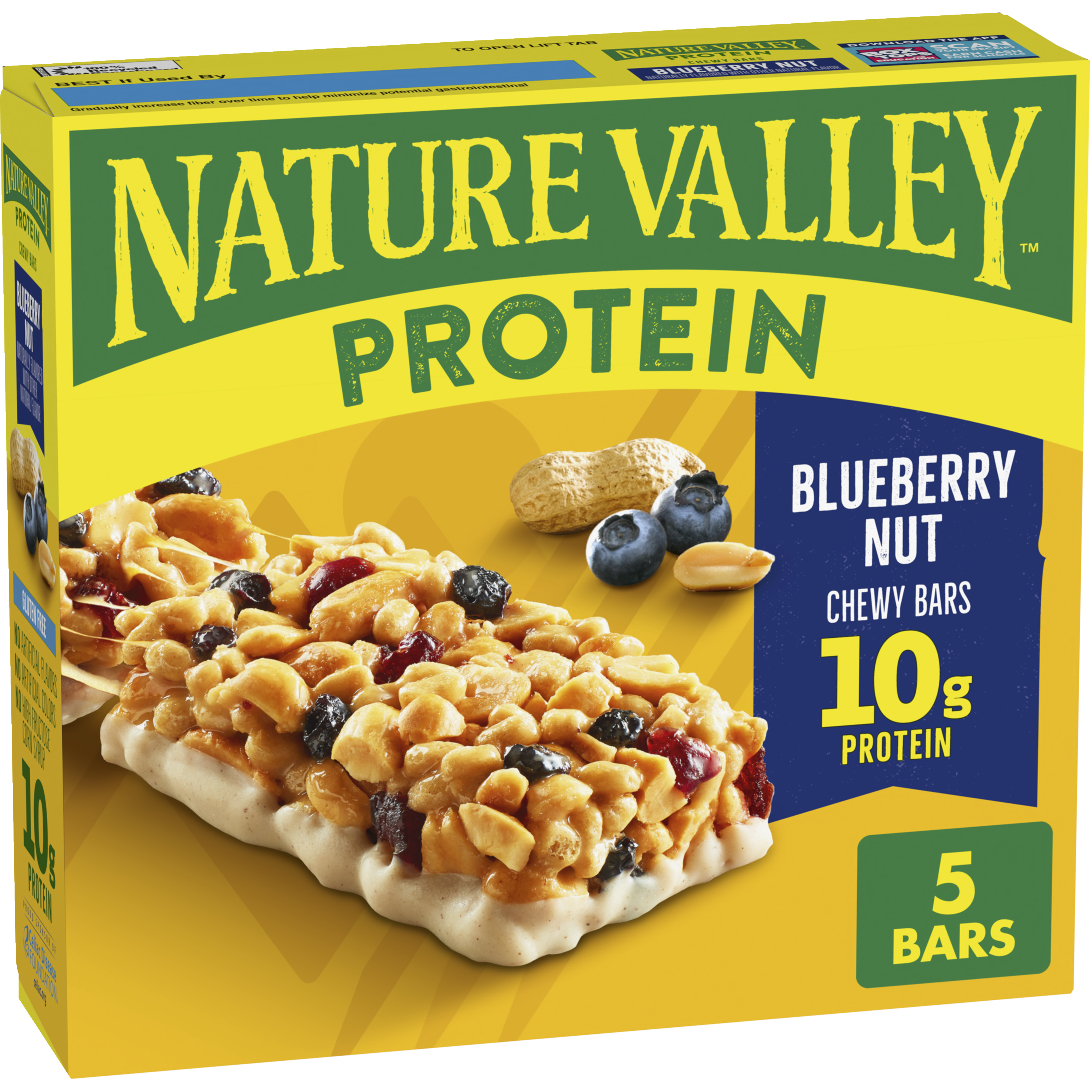 Blueberry Nut Protein Bars - Everyday Health Routine